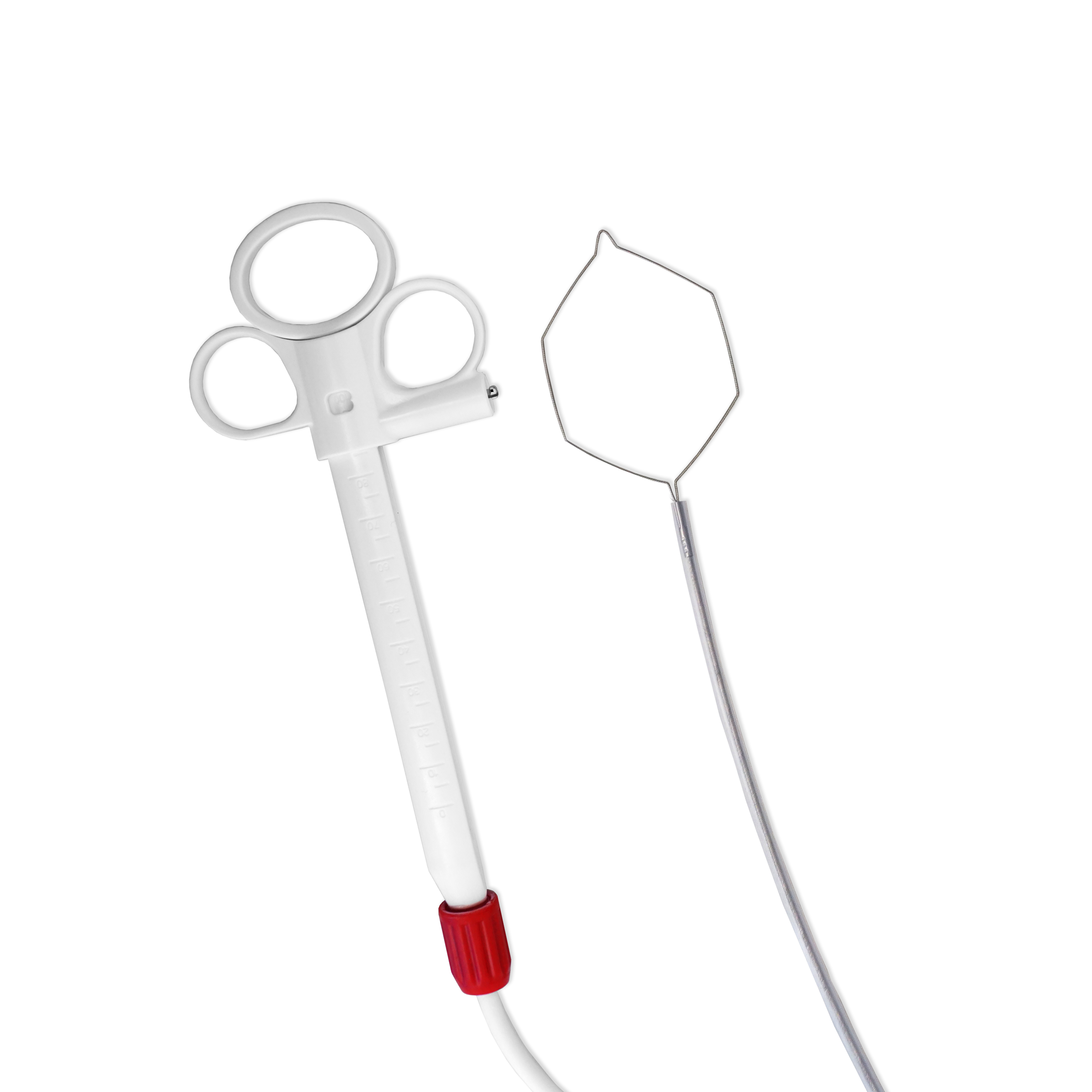 Polypektomieschlinge, hexagonal